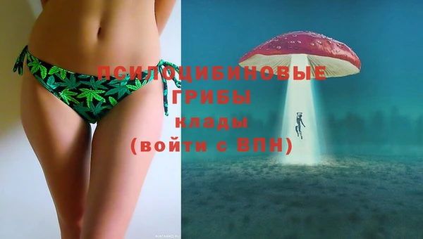 шишки Инсар