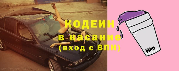 шишки Инсар
