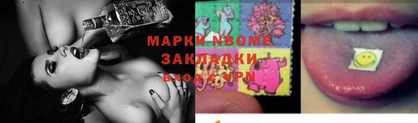 шишки Инсар