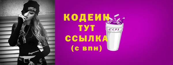 шишки Инсар