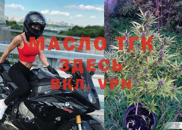 шишки Инсар