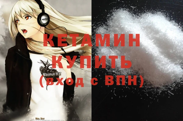 шишки Инсар