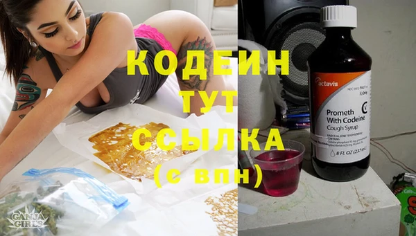 метадон Инта