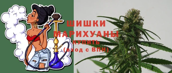 эйфоретик Иннополис