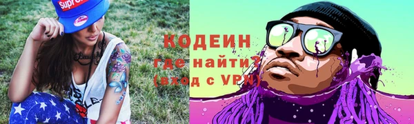 метадон Инта
