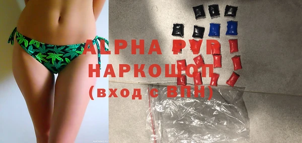 шишки Инсар