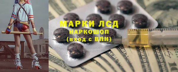 шишки Инсар