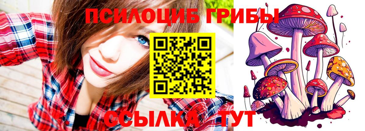 Псилоцибиновые грибы мухоморы  Вход с VPN  даркнет сайт  Химки  Псилоцибиновые грибы GOLDEN TEACHER 